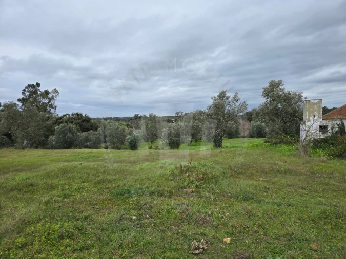 Quinta T3 para Venda em São Domingos e Vale de Água Foto 2