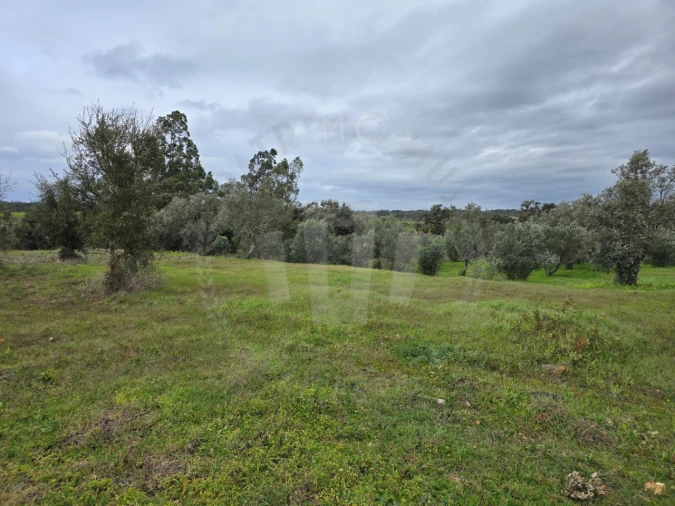 Quinta T3 para Venda em São Domingos e Vale de Água Foto 3