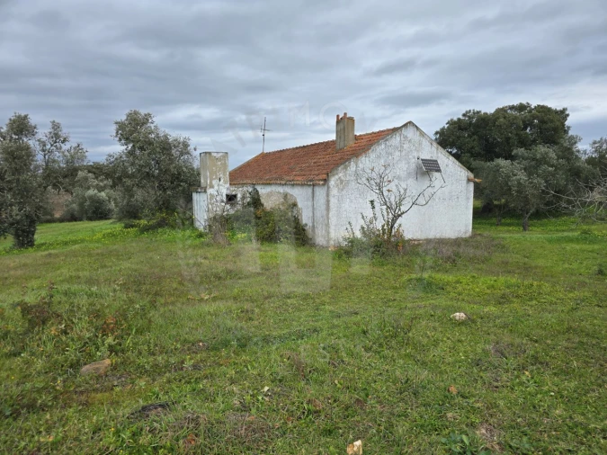 Quinta T3 para Venda em São Domingos e Vale de Água Foto 4