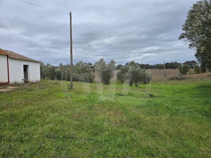 Quinta T3 para Venda em São Domingos e Vale de Água Foto 8