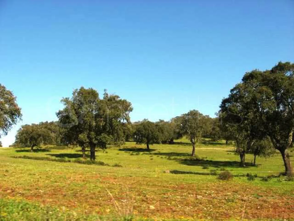 Quinta T8 para Venda em Santa Maria do Castelo e Santiago e Santa Susana Foto 2