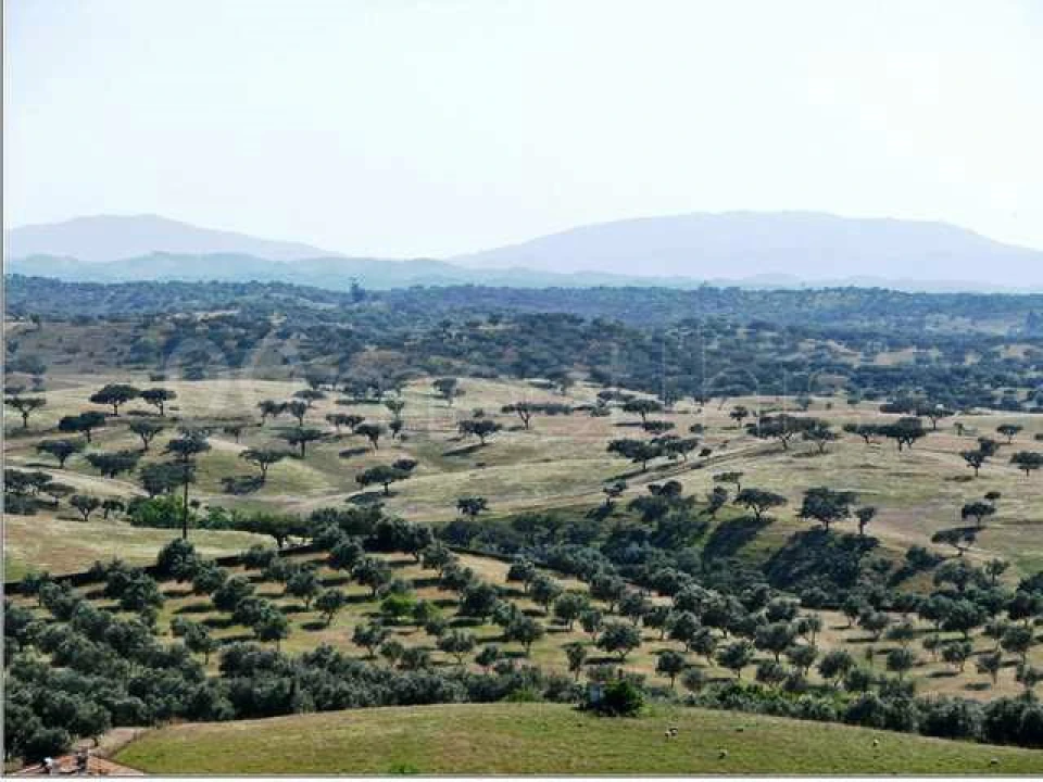 Quinta T8 para Venda em Santa Maria do Castelo e Santiago e Santa Susana Foto 4