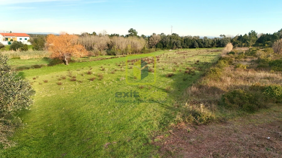Terreno Agricola ou Rústico para Venda em Alhadas Foto 3
