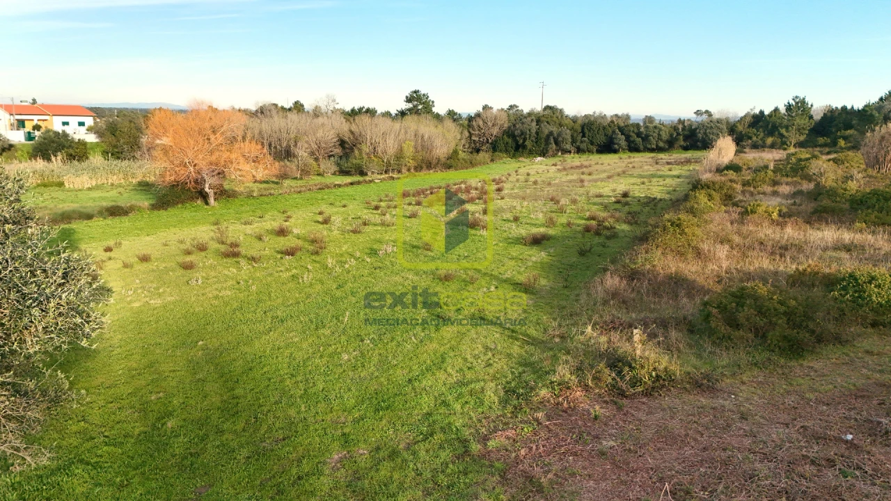 Terreno Agricola ou Rústico para Venda em Alhadas Foto 3