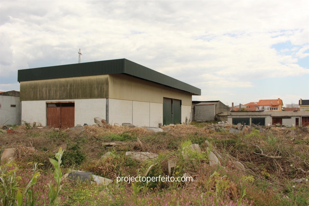 Terreno para Venda em São Felix da Marinha Foto 4