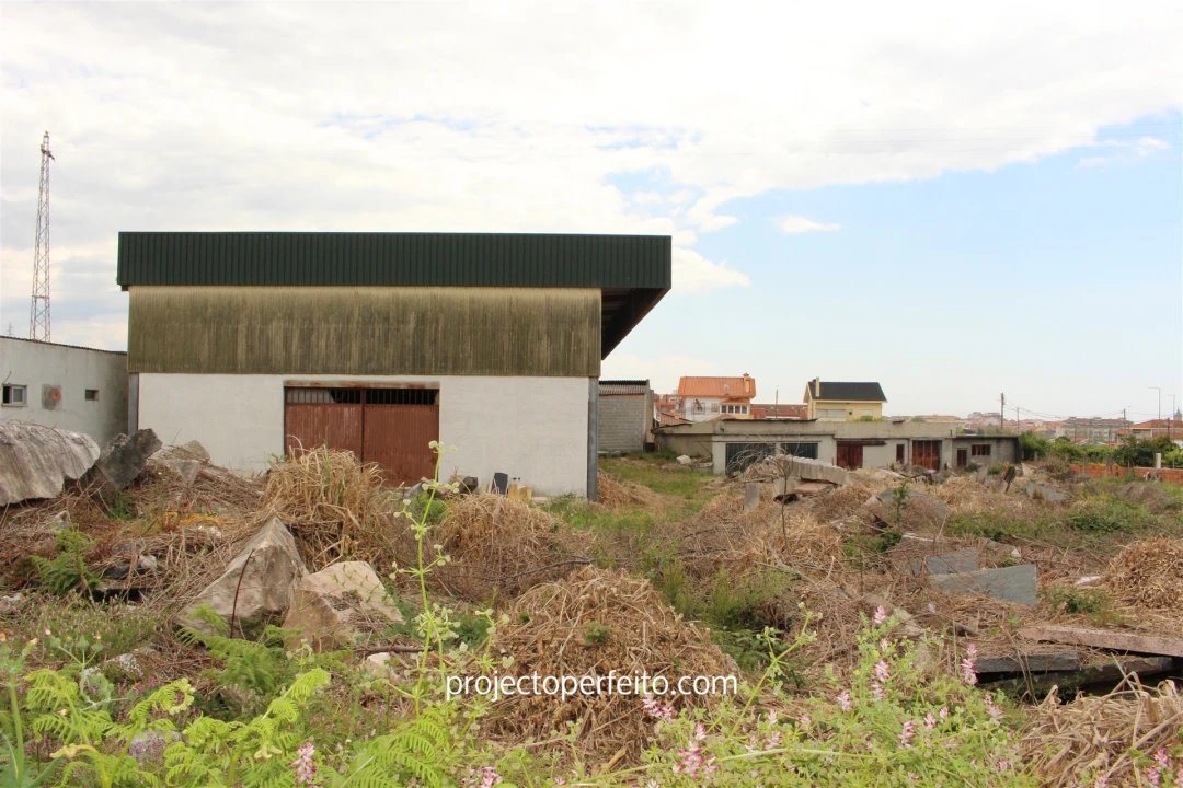 Terreno para Venda em São Felix da Marinha Foto 3