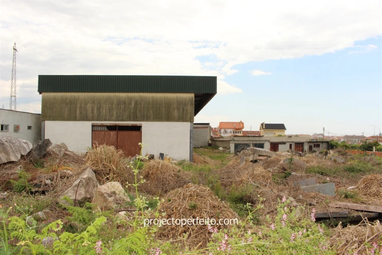 Terreno para Venda em São Felix da Marinha Foto 3