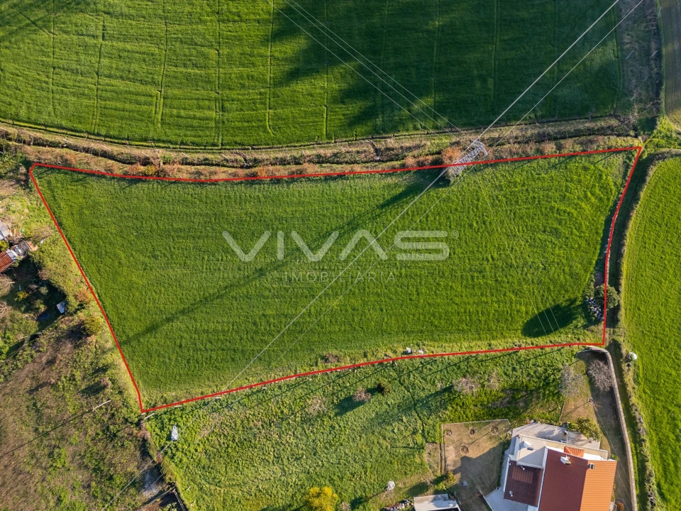 Terreno para Venda em Vila Verde e Barbudo Foto 4