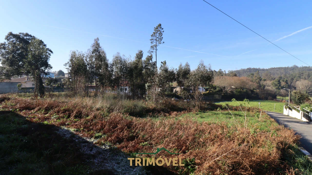 Terreno para Venda em O. Azeméis, Riba-Ul, Ul, Macinhata Seixa, Madail Foto 9