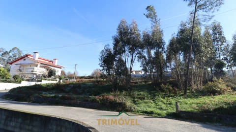 Terreno para Venda em O. Azeméis, Riba-Ul, Ul, Macinhata Seixa, Madail