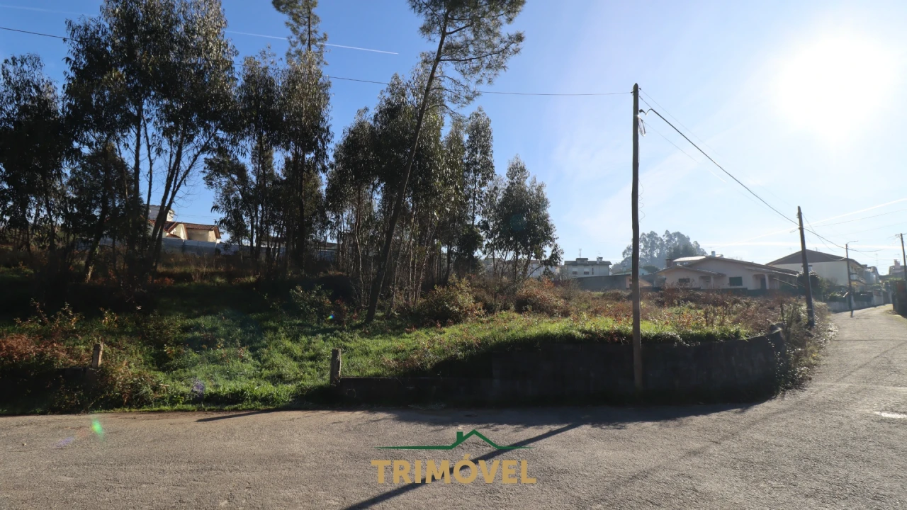 Terreno para Venda em O. Azeméis, Riba-Ul, Ul, Macinhata Seixa, Madail Foto 12
