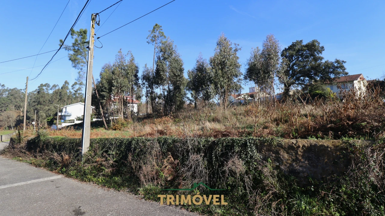 Terreno para Venda em O. Azeméis, Riba-Ul, Ul, Macinhata Seixa, Madail Foto 6