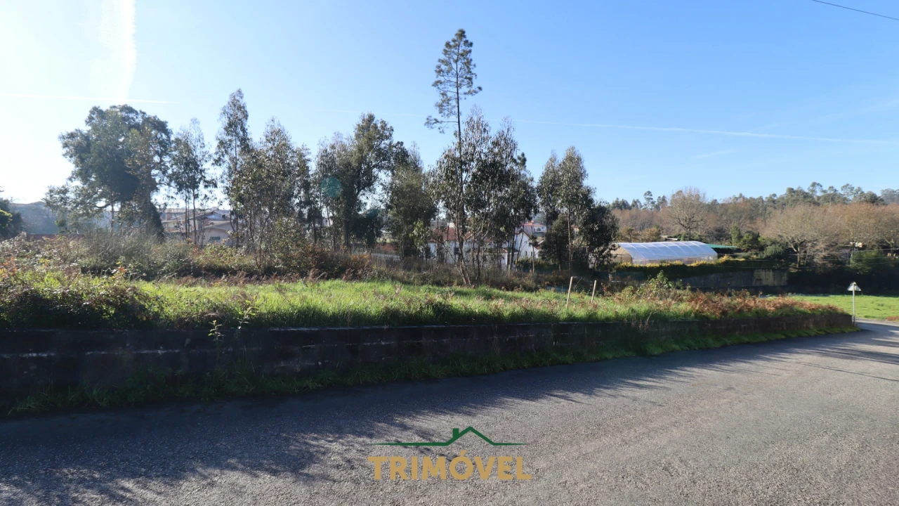 Terreno para Venda em O. Azeméis, Riba-Ul, Ul, Macinhata Seixa, Madail Foto 10
