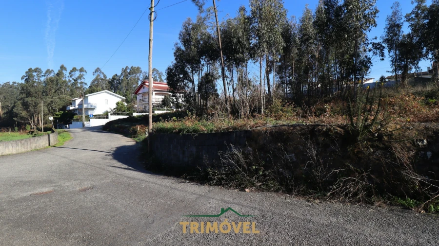 Terreno para Venda em O. Azeméis, Riba-Ul, Ul, Macinhata Seixa, Madail Foto 2