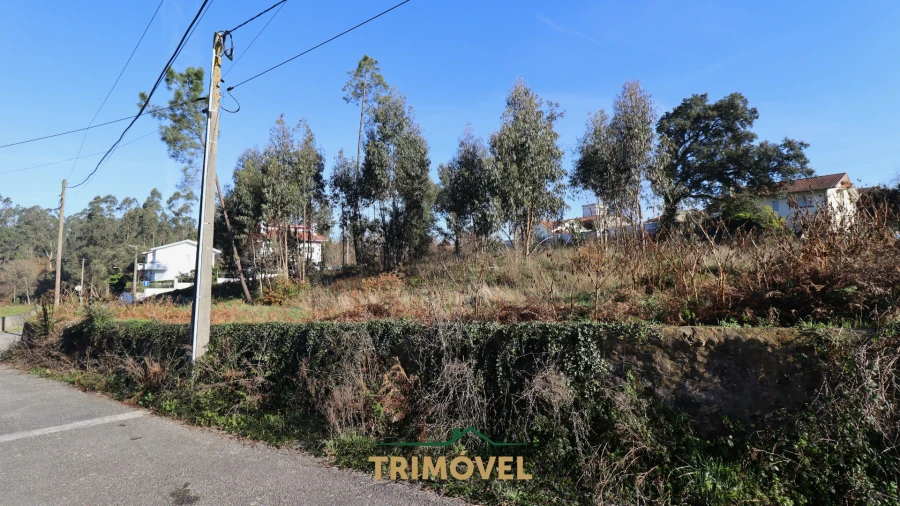 Terreno para Venda em O. Azeméis, Riba-Ul, Ul, Macinhata Seixa, Madail Foto 6