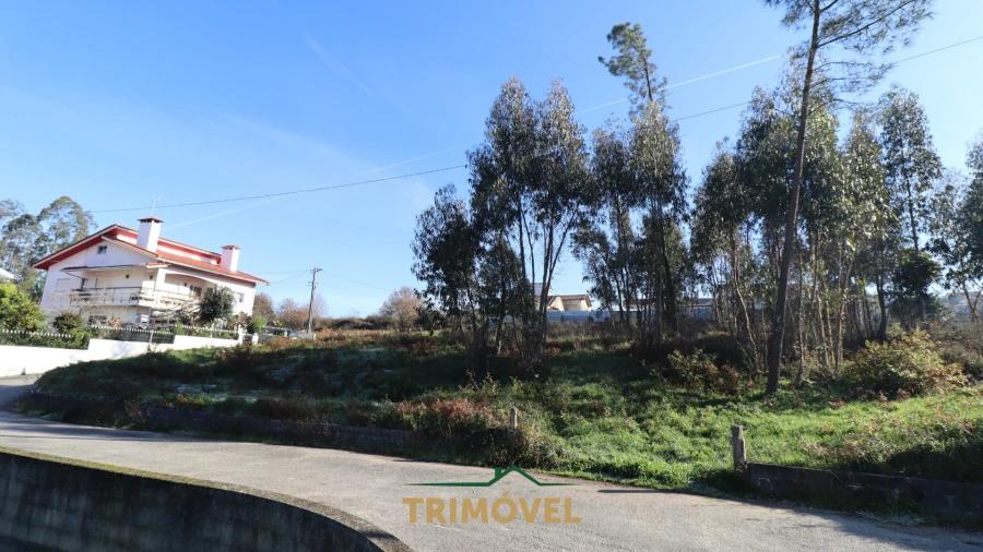 Terreno para Venda em O. Azeméis, Riba-Ul, Ul, Macinhata Seixa, Madail Foto 13