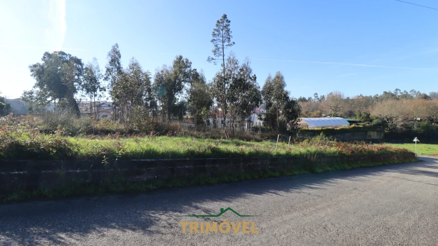 Terreno para Venda em O. Azeméis, Riba-Ul, Ul, Macinhata Seixa, Madail Foto 10