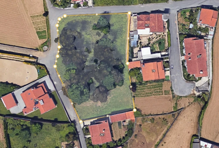 Terreno para Venda em O. Azeméis, Riba-Ul, Ul, Macinhata Seixa, Madail Foto 14