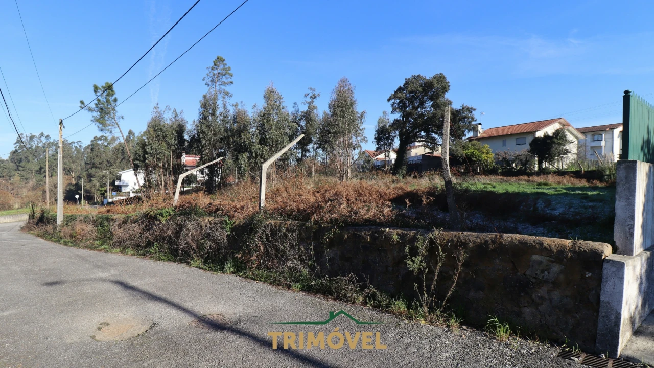 Terreno para Venda em O. Azeméis, Riba-Ul, Ul, Macinhata Seixa, Madail Foto 5
