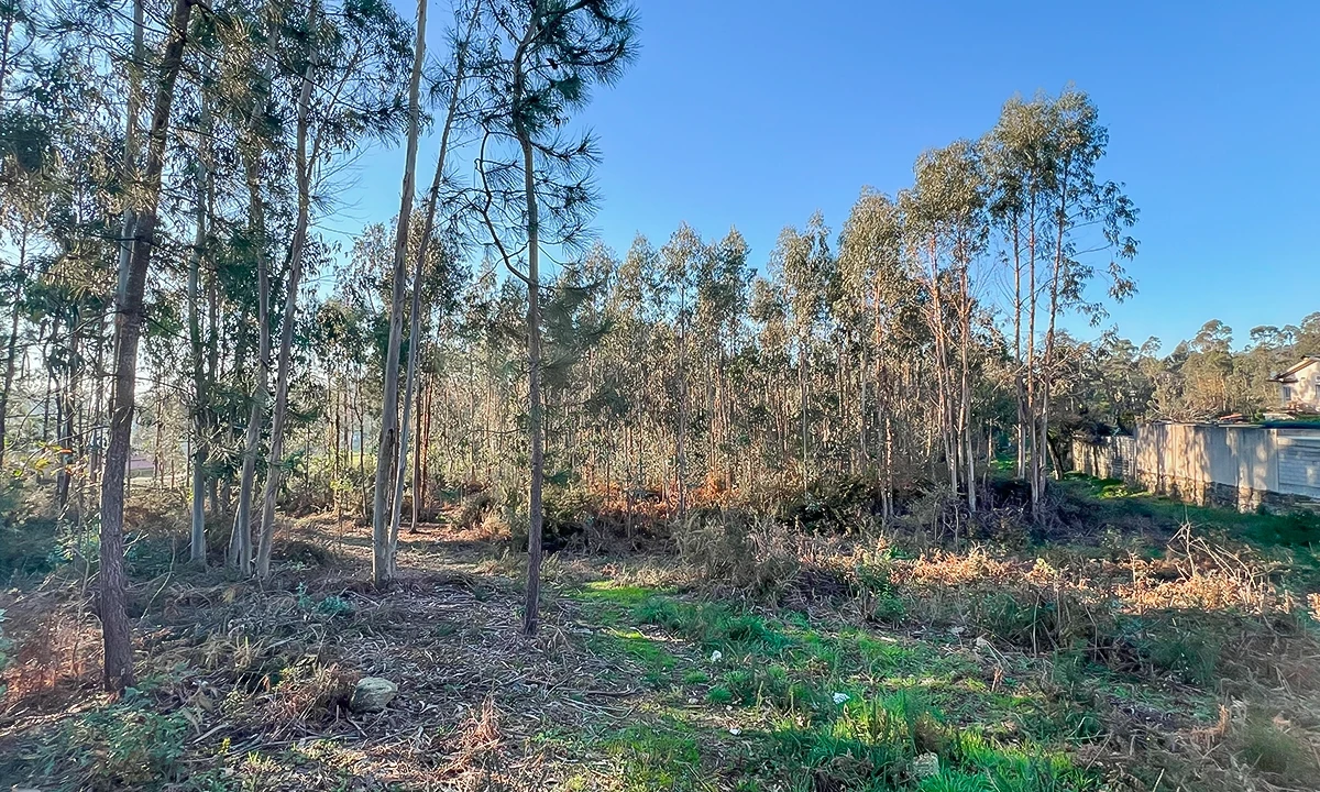 Terreno para Venda em Viatodos, Grimancelos, Minhotães, Monte Fralães Foto 3