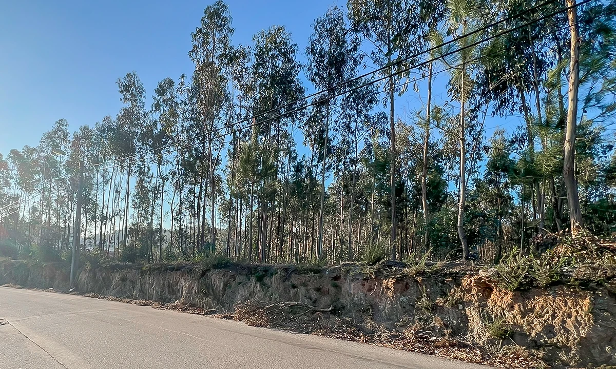 Terreno para Venda em Viatodos, Grimancelos, Minhotães, Monte Fralães Foto 6