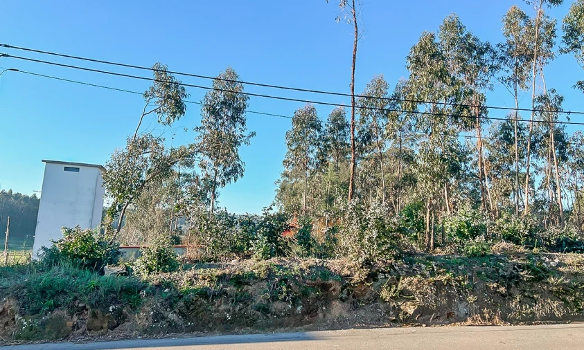 Terreno para Venda em Viatodos, Grimancelos, Minhotães, Monte Fralães Foto 4
