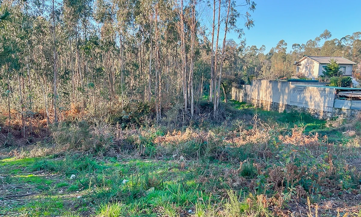 Terreno para Venda em Viatodos, Grimancelos, Minhotães, Monte Fralães Foto 2