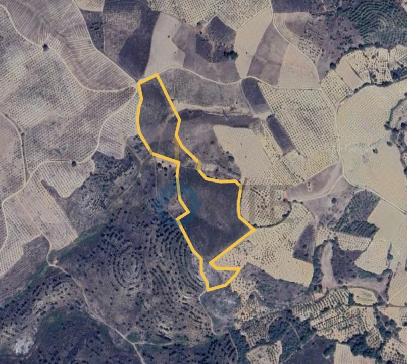 Terreno Agricola ou Rústico para Venda em Vilar Chão Foto 2