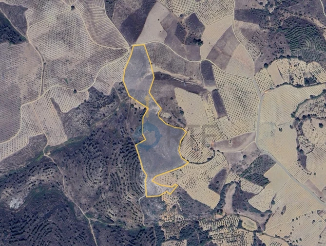 Terreno Agricola ou Rústico para Venda em Vilar Chão Foto 2