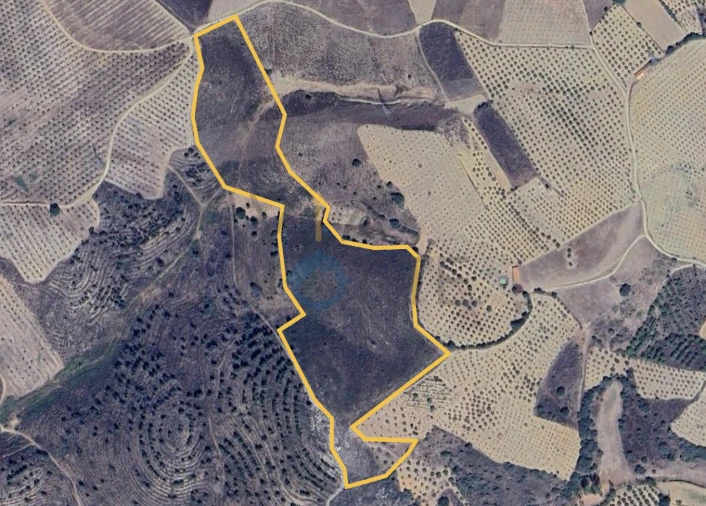 Terreno Agricola ou Rústico para Venda em Vilar Chão