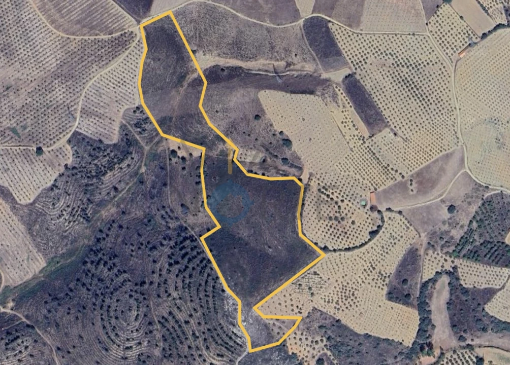 Terreno Agricola ou Rústico para Venda em Vilar Chão Foto 1