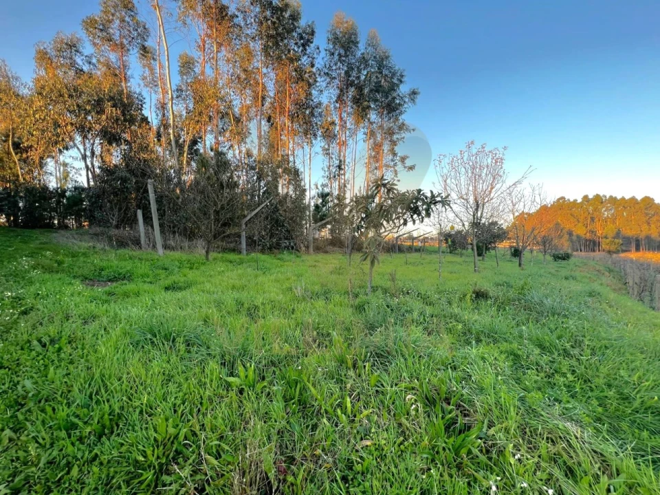 Terreno para Venda em Friastelas Foto 6