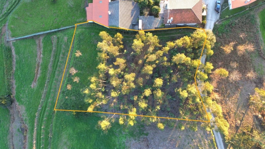 Terreno para Venda em Friastelas Foto 3
