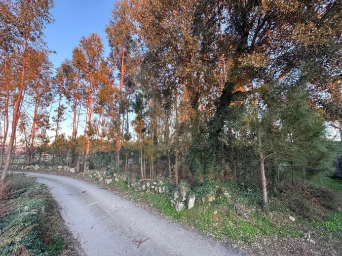 Terreno para Venda em Friastelas Foto 4