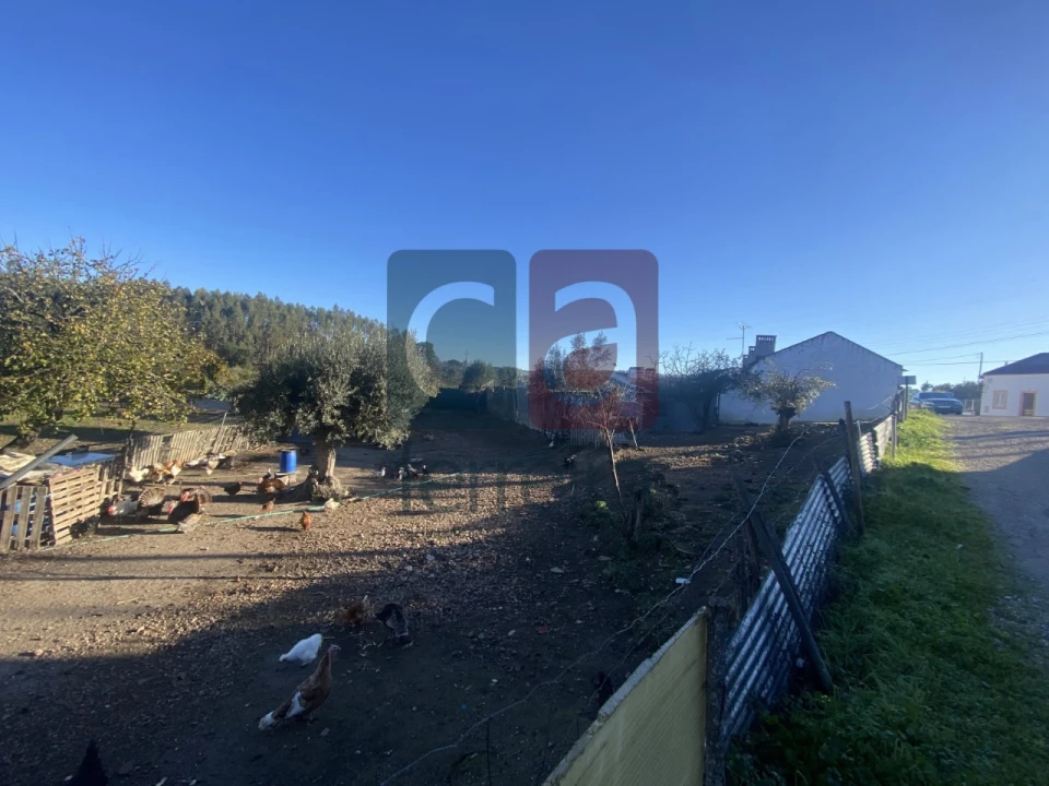 Moradia T6 para Venda em Parreira e Chouto Foto 37