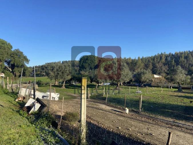 Moradia T6 para Venda em Parreira e Chouto Foto 27