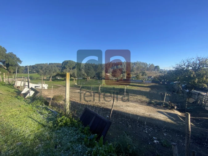 Moradia T6 para Venda em Parreira e Chouto Foto 29