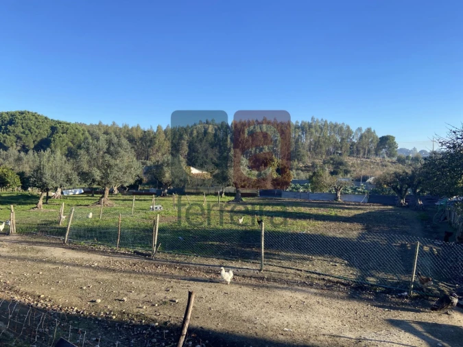 Moradia T6 para Venda em Parreira e Chouto Foto 30