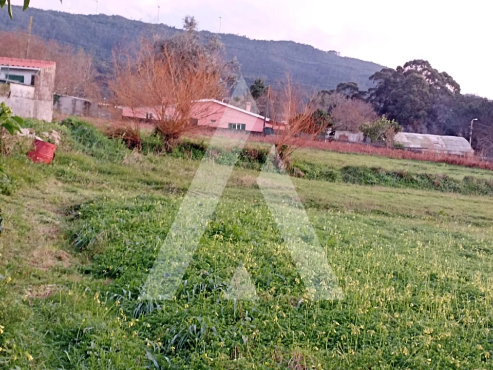Terreno para Venda em Afife Foto 2