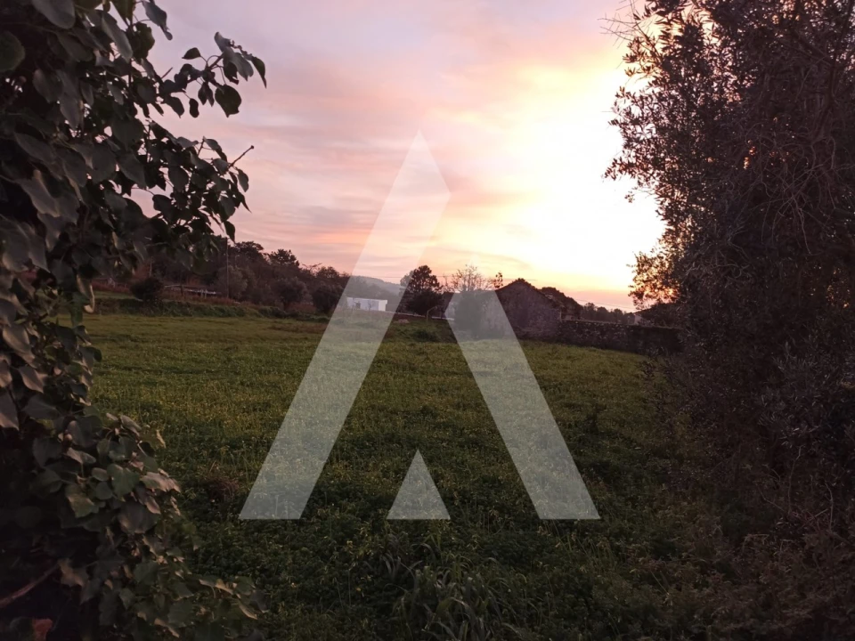 Terreno para Venda em Afife Foto 5