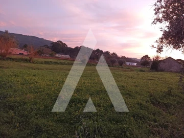 Terreno para Venda em Afife