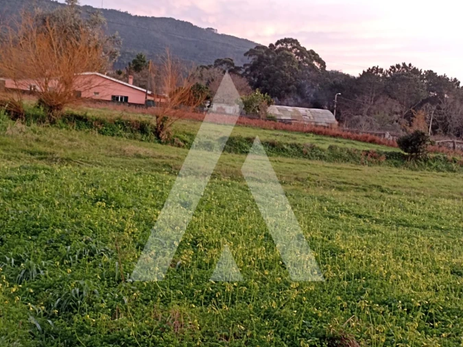 Terreno para Venda em Afife Foto 1