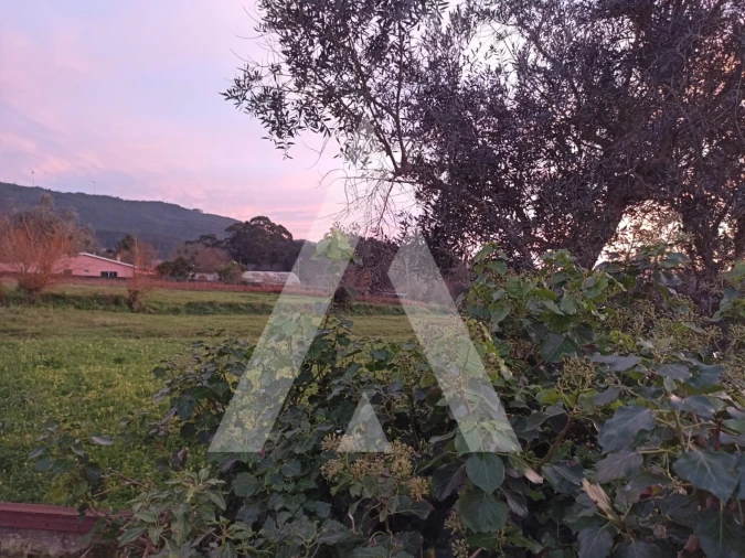 Terreno para Venda em Afife Foto 3