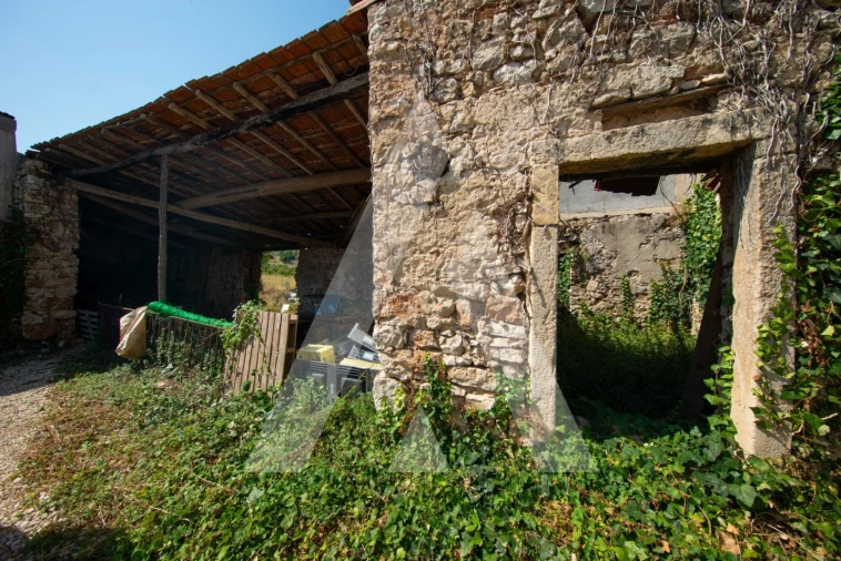 Terreno para Venda em Ega Foto 4