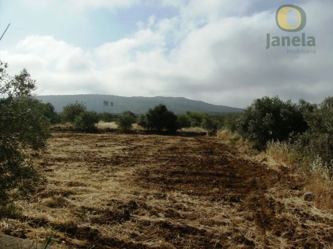 Terreno Agricola ou Rústico para Venda em Moncarapacho e Fuseta Foto 1