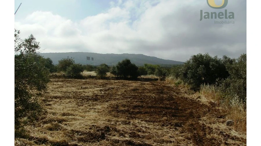 Terreno Agricola ou Rústico para Venda em Moncarapacho e Fuseta