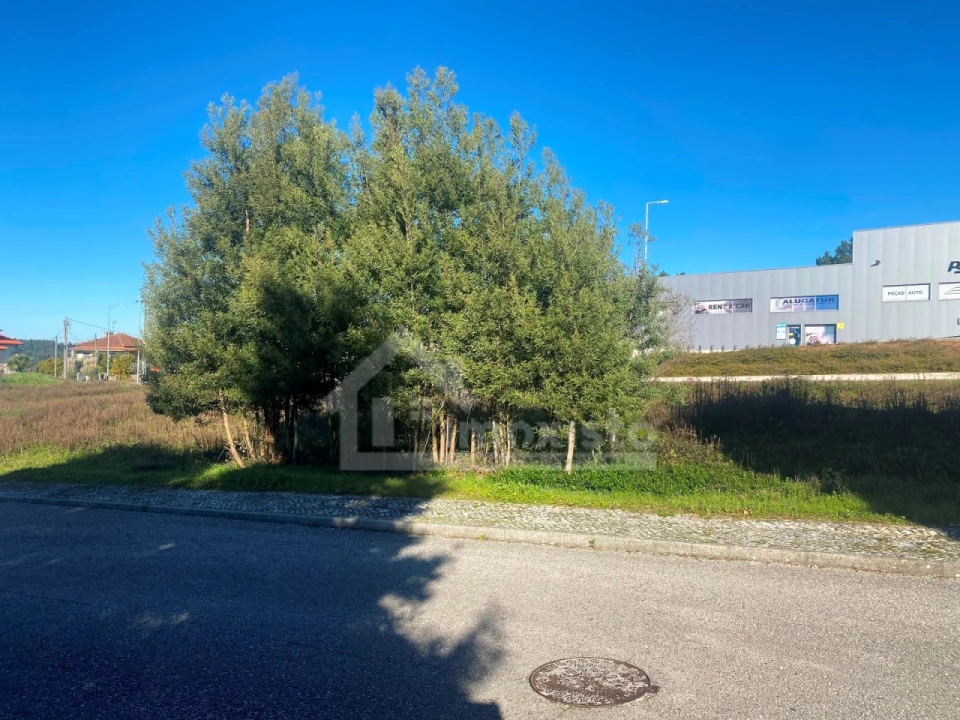 Terreno para Venda em Figueiró dos Vinhos e Bairradas Foto 11