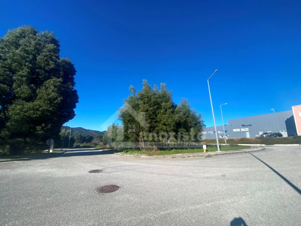 Terreno para Venda em Figueiró dos Vinhos e Bairradas Foto 13