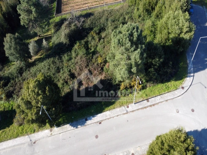 Terreno para Venda em Figueiró dos Vinhos e Bairradas Foto 7