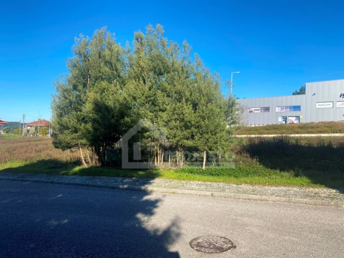Terreno para Venda em Figueiró dos Vinhos e Bairradas Foto 11
